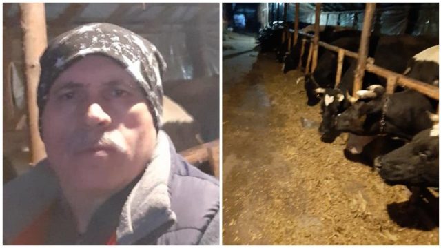 Fermierul Ștefan Muscă își vinde ferma de vaci!