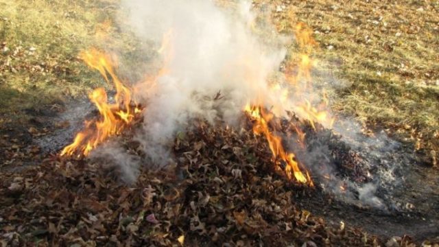 Garda de Mediu: Arderea frunzelor este interzisă din acest an! Amenzile pot ajunge la 20.000 de lei!
