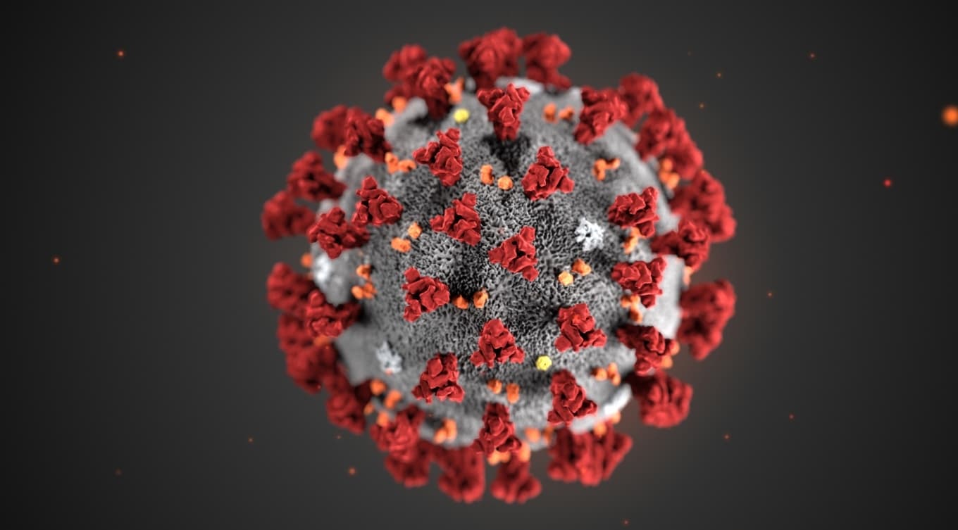 Coronavirus: Germania vrea să reimpună carantina la nivel local