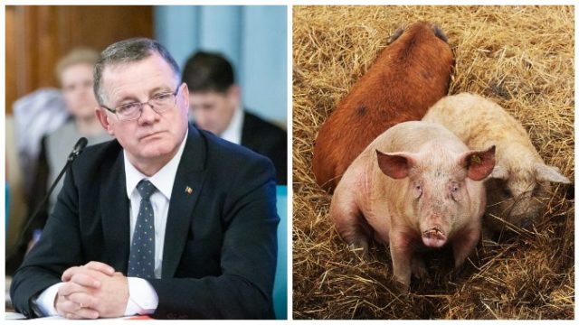 Ministrul Adrian Oros – anunț despre limitarea numărului de porci în gospodăriile țărănești