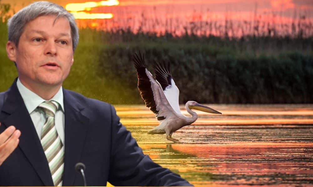 Președintele USR-PLUS, Dacian Cioloș, va numi în curând guvernatorul Deltei Dunării. Preferați un român sau un străin?