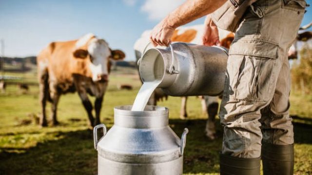 Preţ de 1,7 lei/litru pentru fermierii care livrează lapte la cea mai nouă fabrică din România!