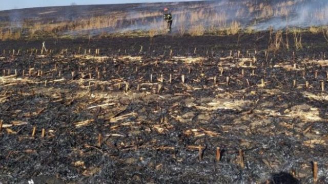 15 hectare distruse de flăcări. Vântul puternic îngreunează munca pompierilor | AGROINTEL.RO