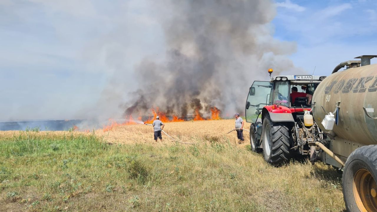 Incendiu la recoltat. Fermierii se luptă cu flăcările în mijlocul lanului de grâu – AGROINTEL.RO