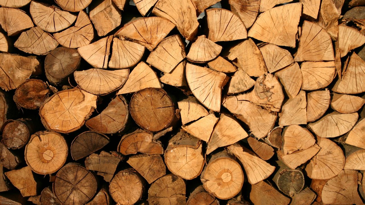 Ungaria limitează exportul de lemne de foc – AGROINTEL.RO