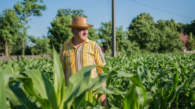 Deputat: ”Fermierul român este unul dintre cei mai harnici fermieri din UE, dar abia subzistă de la o recoltă la alta”
