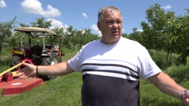 Pomicultorul Sorin Baciu și-a distrus recolta cu tractorul din cauză că nu are unde să vândă fructele