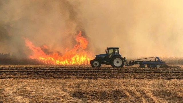 ISU: 50 de hectare de porumb – incendiate intenționat!
