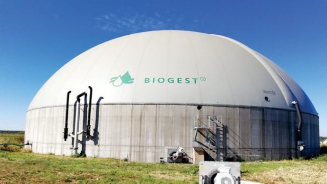 Mihai Schita, fermier cu stație de biogaz: ”Nu e o investiție ușoară. La biogaz cheltuielile de mentenanță sunt de 40%” | AGROINTEL.RO