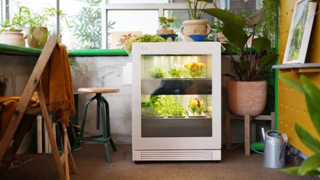 Tiiun – dispozitivul lansat de LG cu care poți să îți cultivi legumele acasă – AGROINTEL.RO