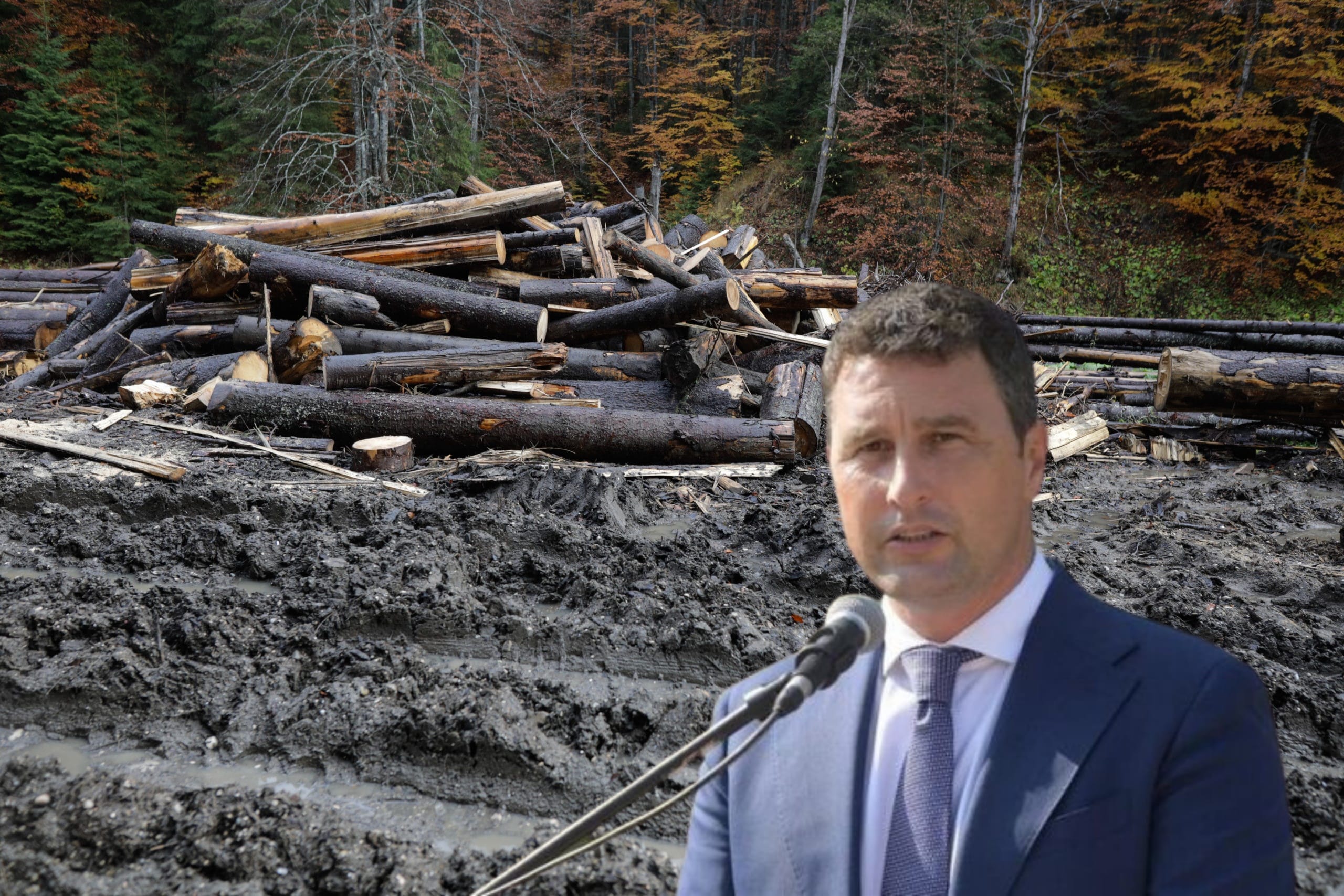 Romsilva este obligată să reducă anul acesta cu 50% vânzarea de lemn neprelucrat – 60m.ro