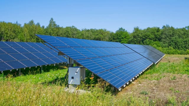 Senatul a aprobat înființarea parcurilor fotovoltaice pe terenuri arabile și pășuni! – AGROINTEL.RO
