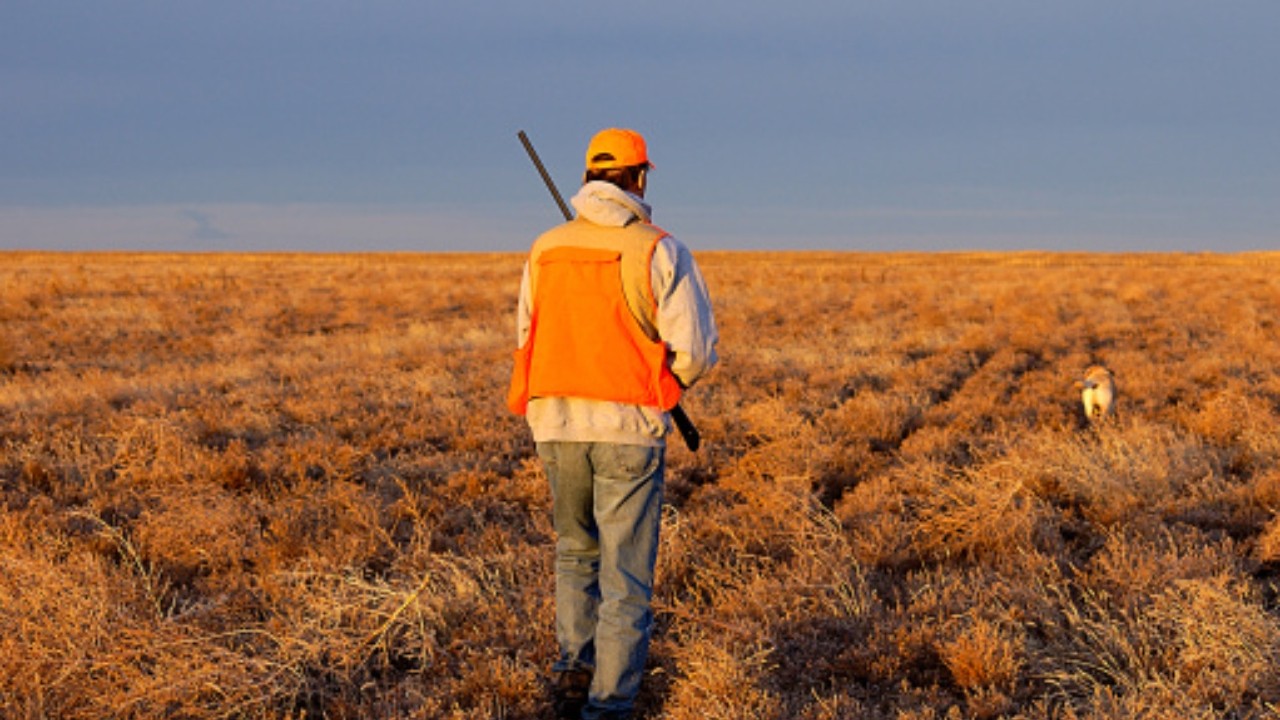 O tânără fermieră a fost împușcată de către un vânător în timp ce culegea porumb! – AGROINTEL.RO