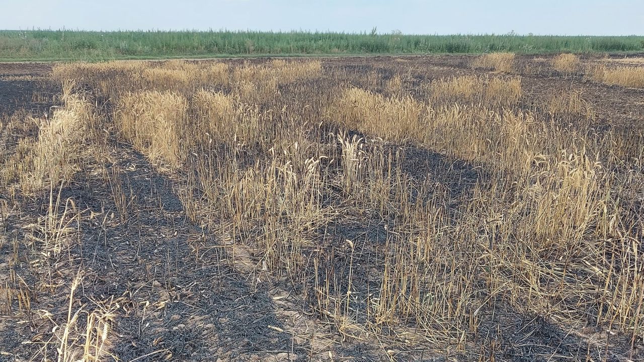 O parte din recolta de grâu a unui cunoscut fermier a ars într-un incendiu. Agricultorul crede că a fost mână criminală