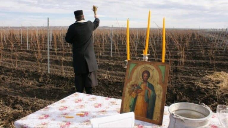 Patriarhia Română a mobilizat preoții să sprijine agricultura cu rugăciuni care aduc ”ploaie liniștită” – AGROINTEL.RO