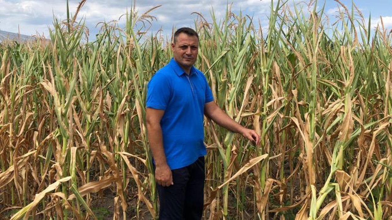 Fermierul Valentin Popa și-a primit certificatul fiscal pe care primarul refuza să i-l semneze: ”Mulțumesc, Agrointeligența!”