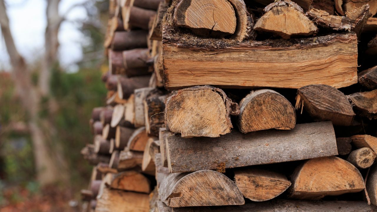 Plafon preț lemne 2022. Prețurile stabilite pentru un metru cub de lemne de foc, peleți și brichete