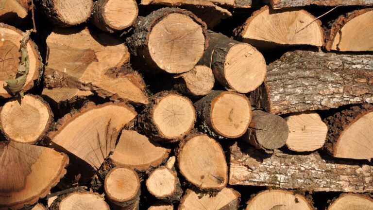 Guvernul a plafonat prețul lemnelor de foc la 400 lei/mc și la 2.000 lei/tonă pentru peleți