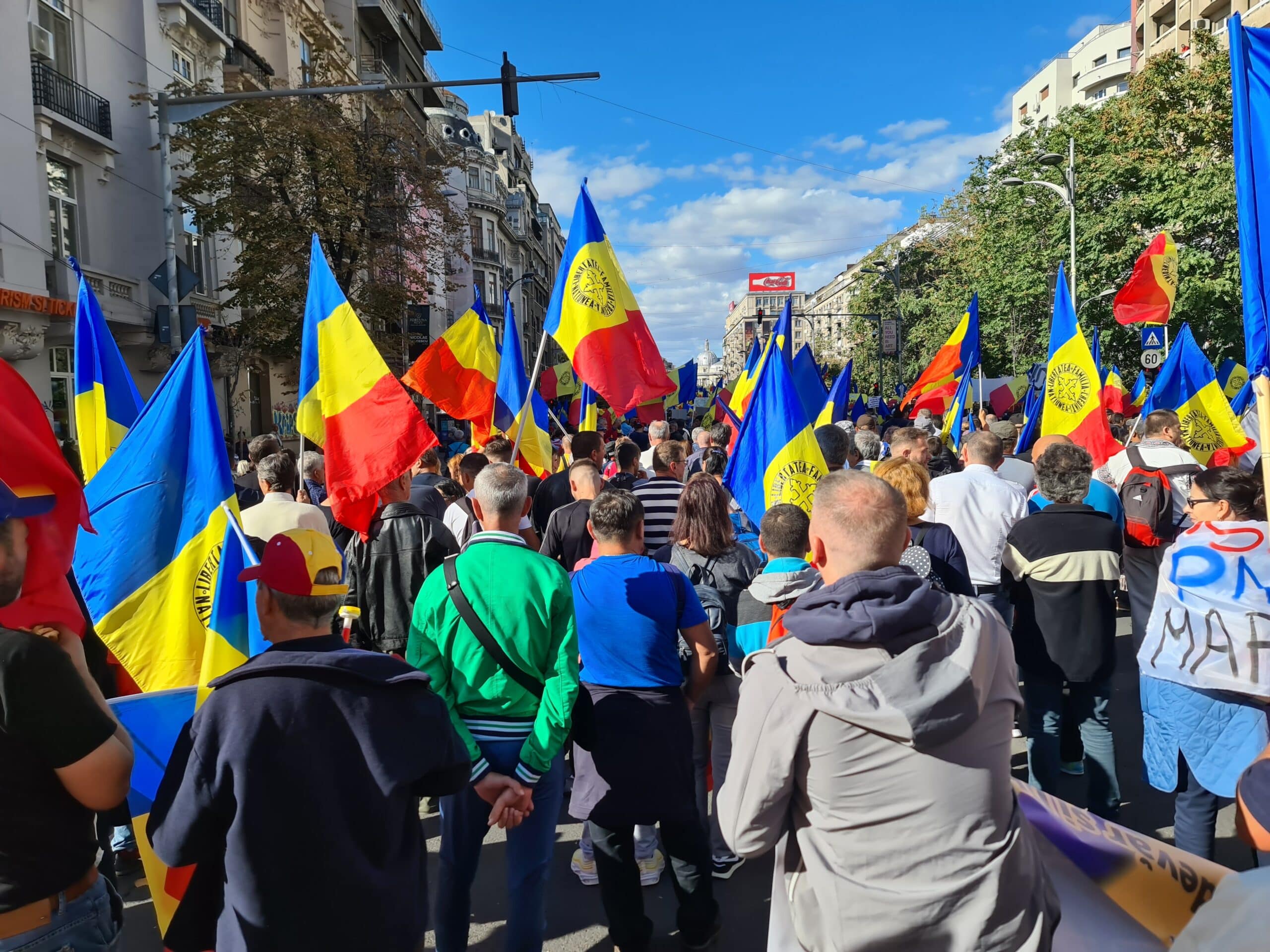 Unde pot fi găsite persoane apte pentru a conduce Statul Eșuat numit România ? – CRITICII.RO