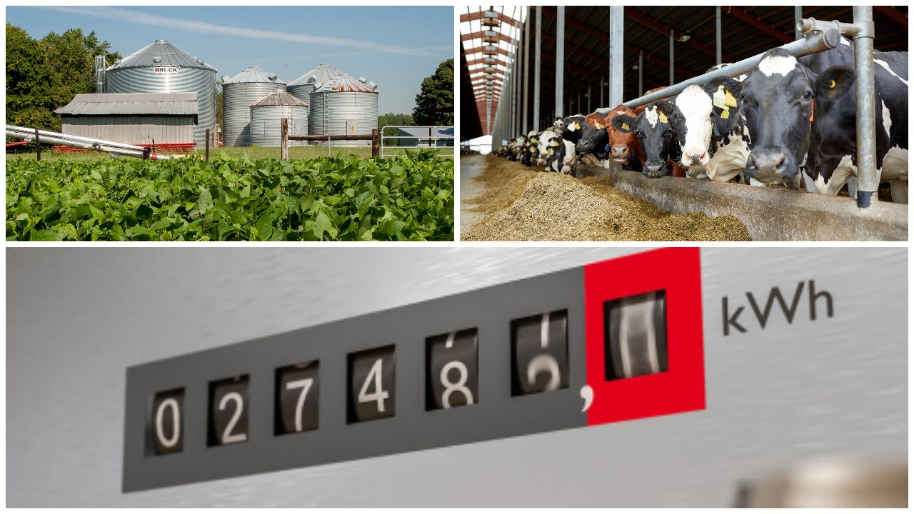 Lege nouă: Prețul la energie, plafonat direct pe factură pentru fermieri, crescători de animale și industria alimentară