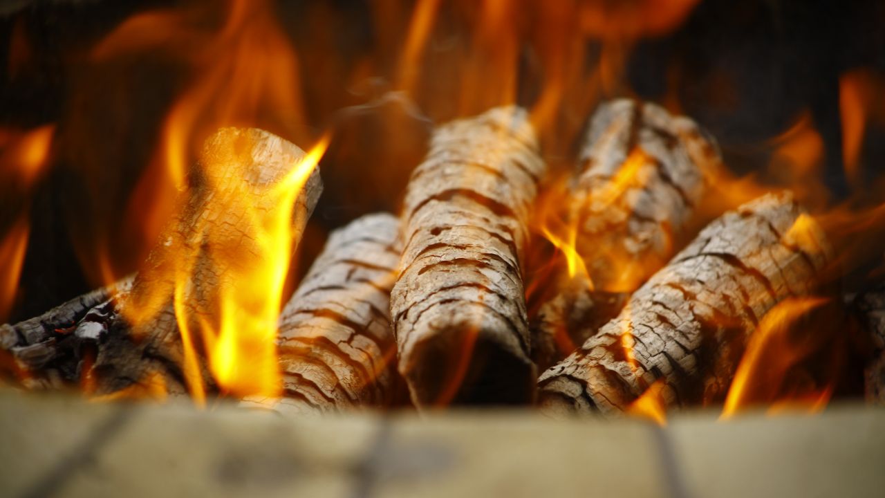 Lemne de foc. Cel mai bun lemn de foc pentru încălzirea cu sobe, șemineu sau gătit