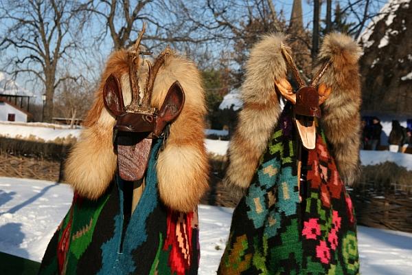 Tradiții și urături de Crăciun și Anul Nou: Jocul caprei – AGROINTEL.RO