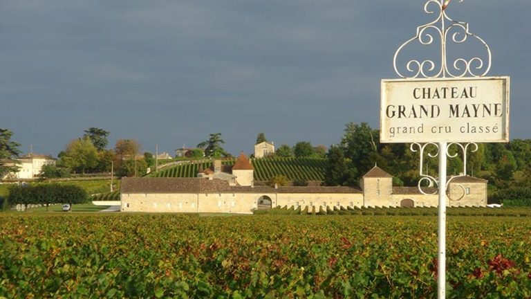 Profil: Chateau Grand Mayne (Saint-Emilion)