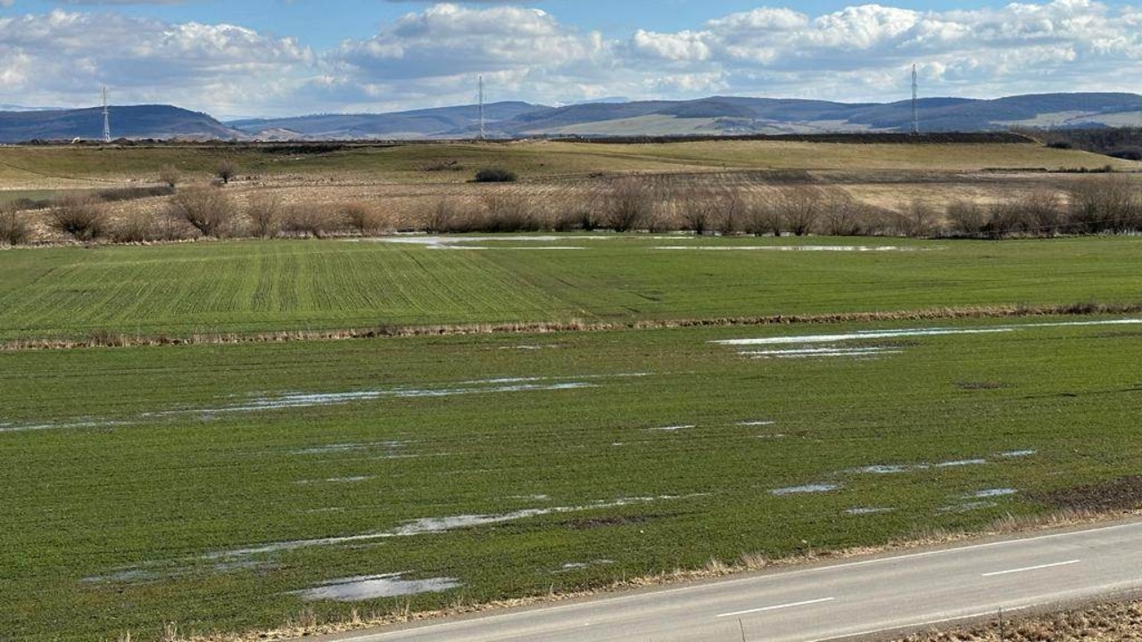 Culturi de grâu distruse de excesul de apă! În ferma familiei Huprich, ploile nu s-au oprit deloc în ultimele 3 zile
