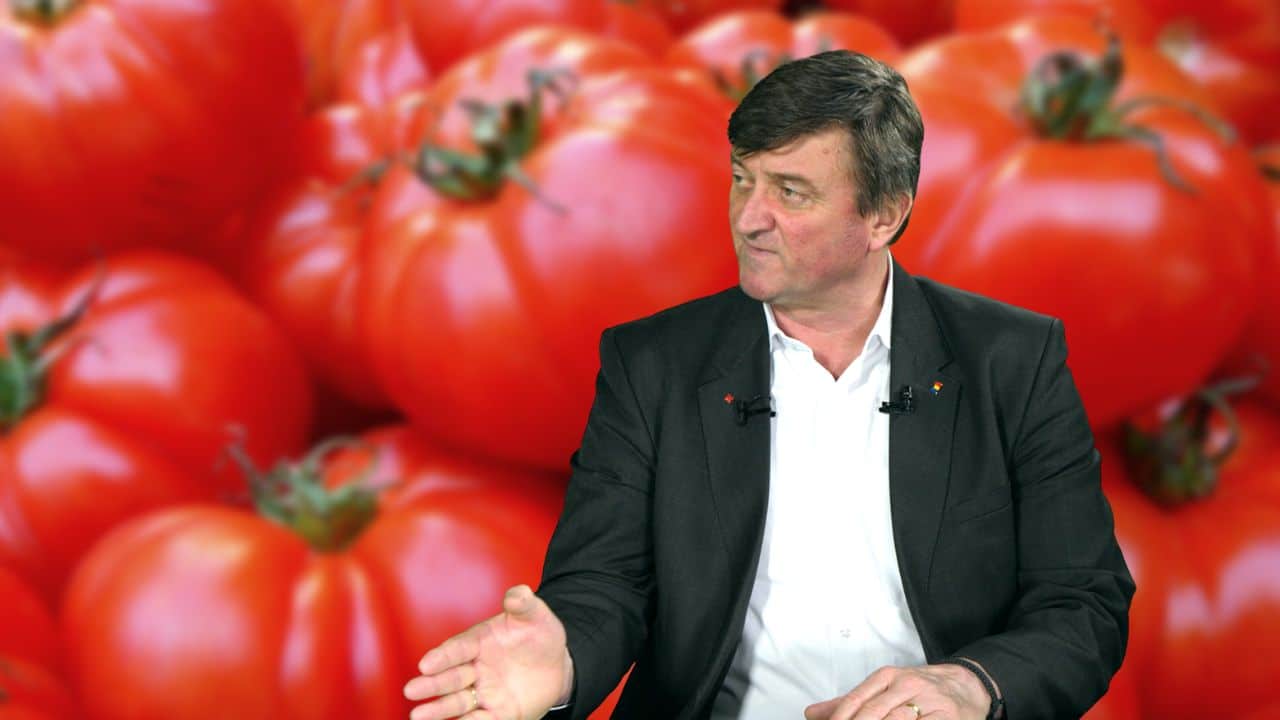 Primele roșii românești, prețuri. Gheorghe Vlad, OIPA Legume-Fructe: Nu vom avea de Paști tomate autohtone! – Food & Retail