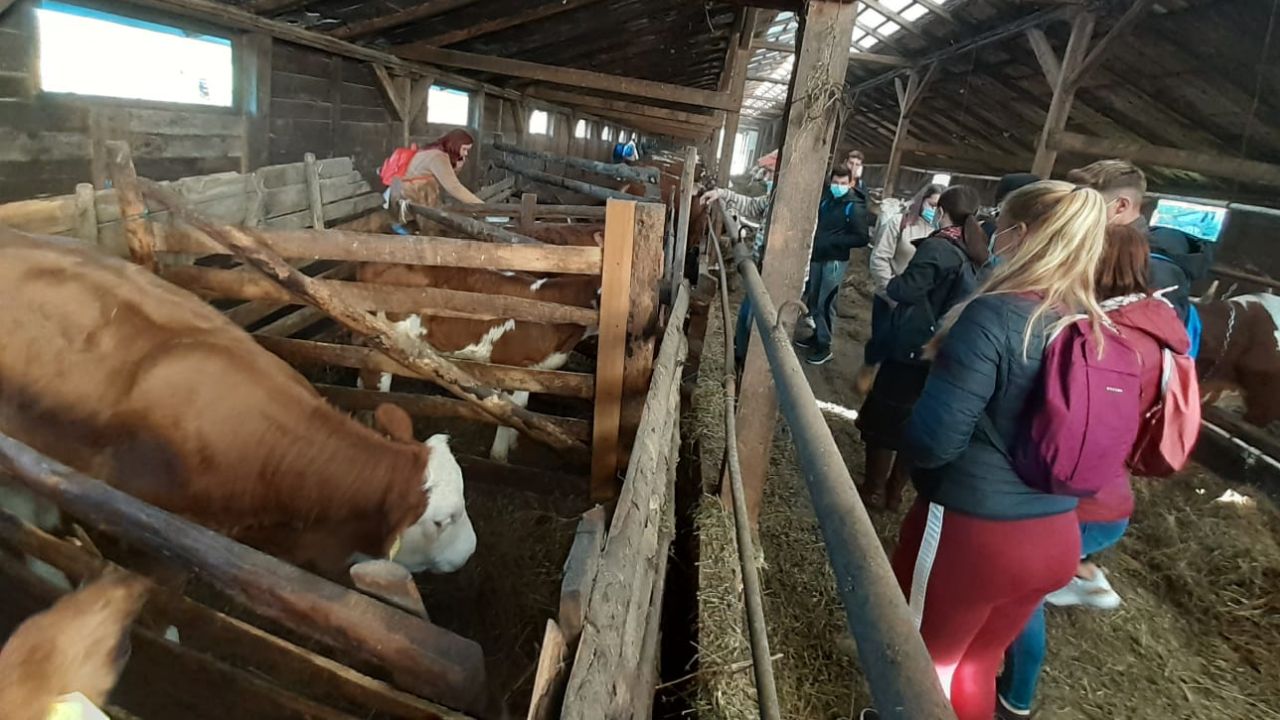 Cum se fac și ce potențial au stagiile de practică în liceele agricole din România