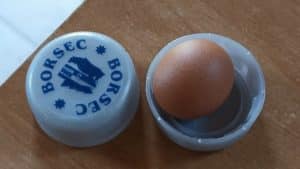 Cel mai mic ou din Ardeal – surpriza găsită în cuibarul unei gospodării din Cluj!